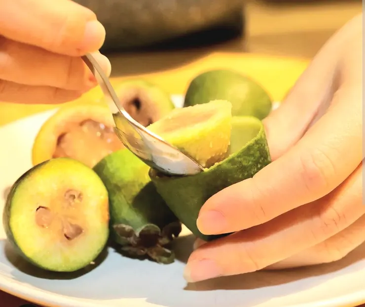 相片取自網際網路