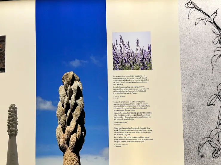 發想自薰衣草的雕塑