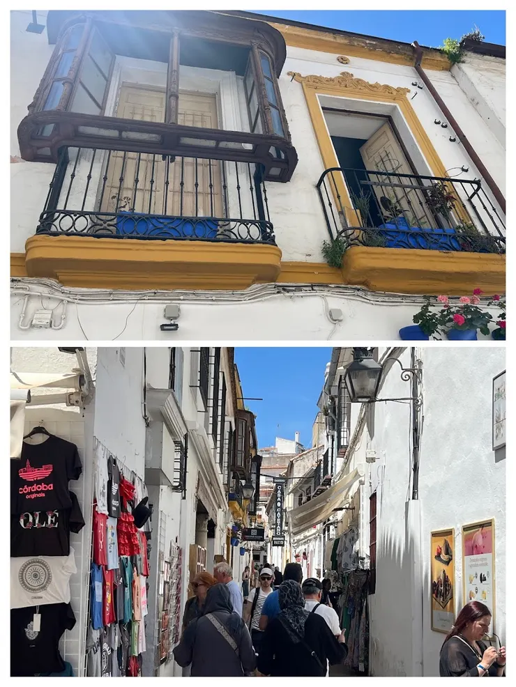 清真寺附近是猶太區很多蜿蜒小巷子，聰嫂對窗戶突出的窗台很好奇。