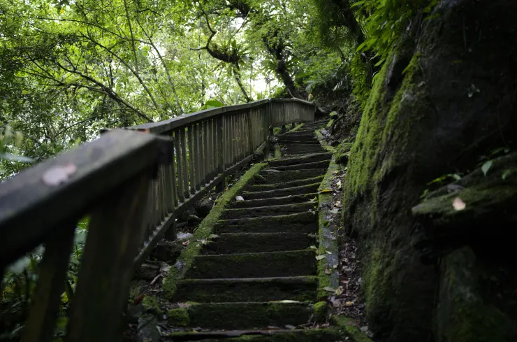 富源除了沿溪步道外還有沿山步道,但里程與爬升都明顯較沿溪步道多很多,也比較濕滑。假如是要輕鬆體驗的話,可以選擇沿溪步道就好囉!