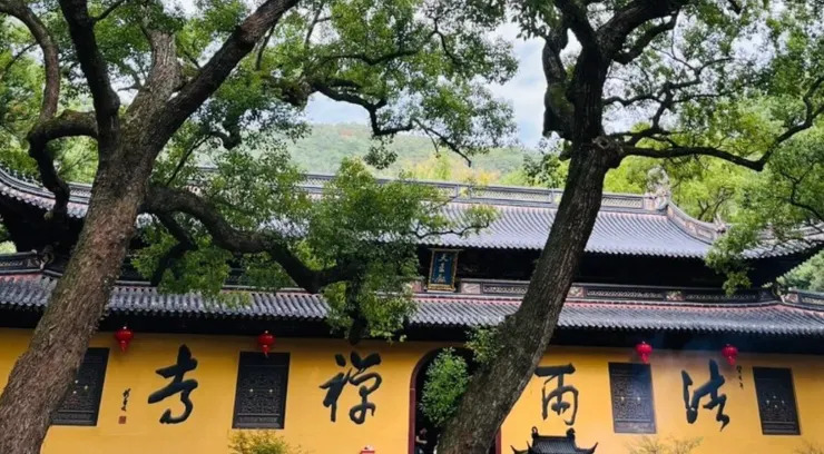 法雨寺這座位於山間的古老寺廟，背景綠樹成蔭，紅燈籠掛在寺廟外牆上，營造出寧靜的宗教氛圍。