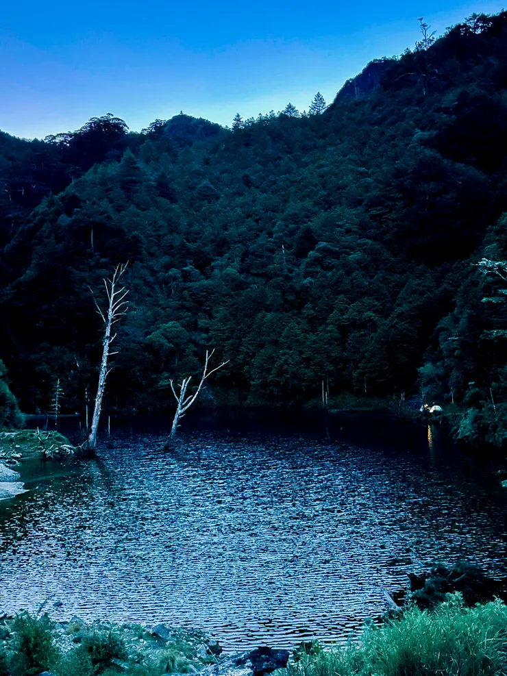 清晨被風吹縐的池水