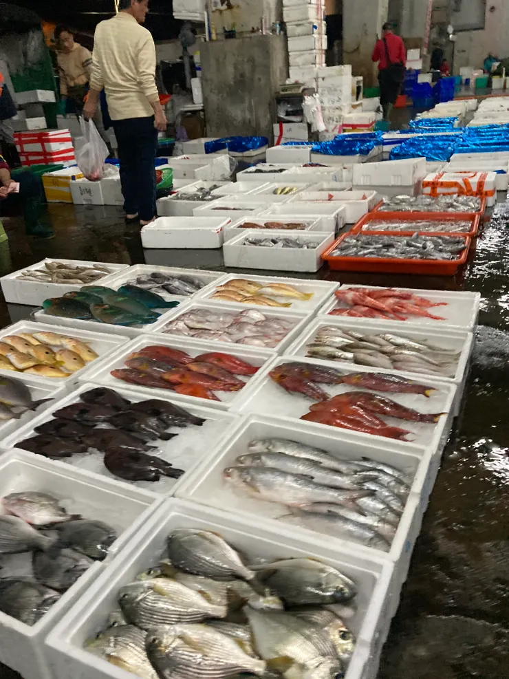 從小琉球釣上的鬼頭刀、高雄的白帶魚,紅色、綠色、藍色的鸚哥,黑鯛、午仔魚整齊的碼放在鋪上冰塊的保麗龍箱。肉魚成堆的泡在汙濁的水裡。土魠魚併排陳列在水泥地上,等待前來詢價的人客。(攝於拖網魚市場)