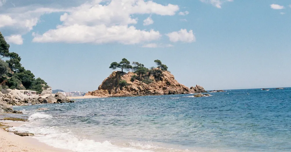 Gemma 人類圖的沙龍