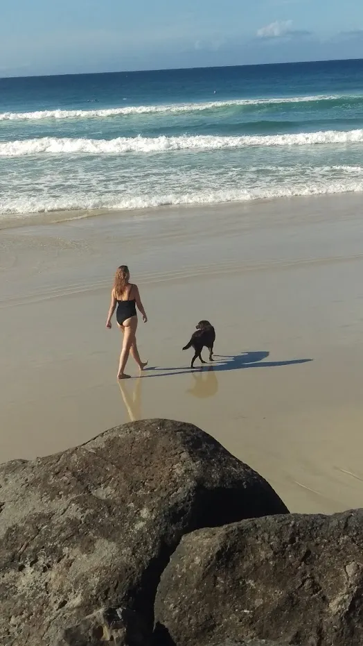 我覺得澳洲生活的狗真的很開心，有很大的地方可以跑跳