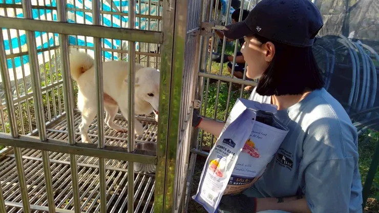 圖說：除了送達必要物資，倍力團隊也協助餵食狗園的浪狗浪貓，幫忙清理大雨後的泥濘環境。（資料來源：柴犬聯盟）