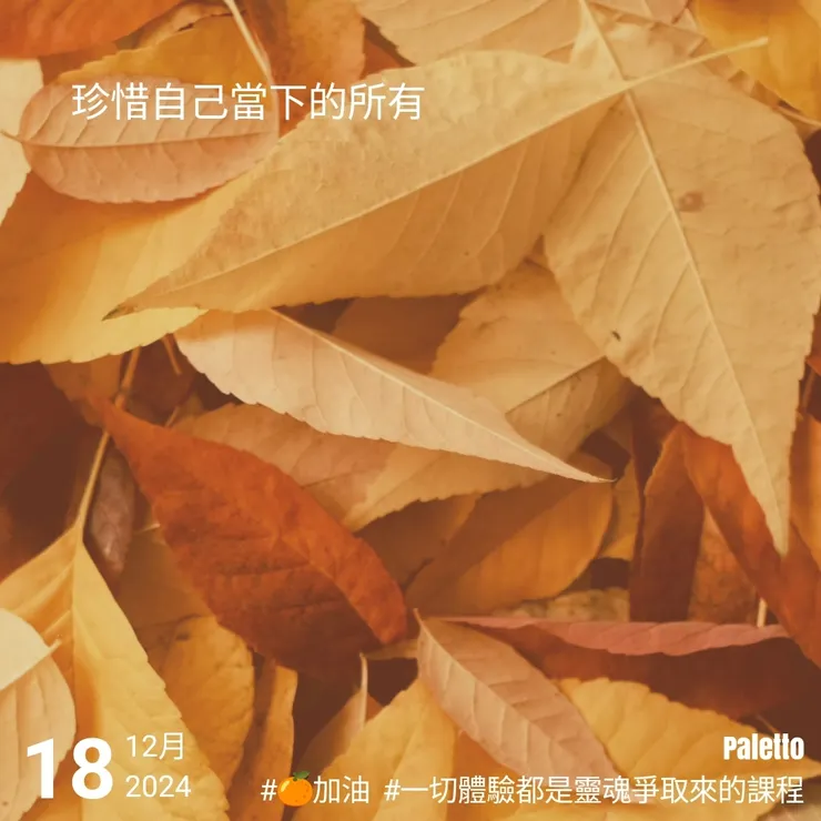 【桔言桔語•每天送給自己一句話】