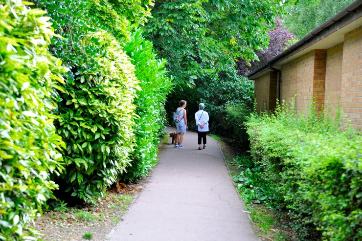 【改做公園閒步蹓狗划船或垂釣！從運河走回住處穿過的小徑。】