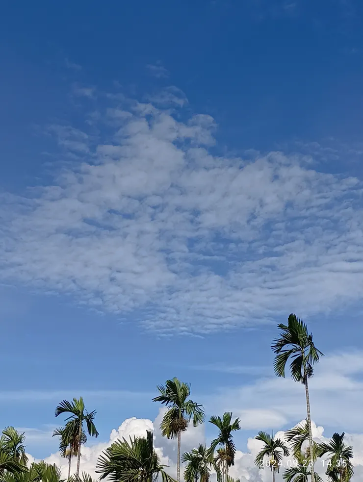 漫城竹田的天空