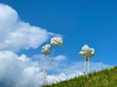 朝美好生活邁進