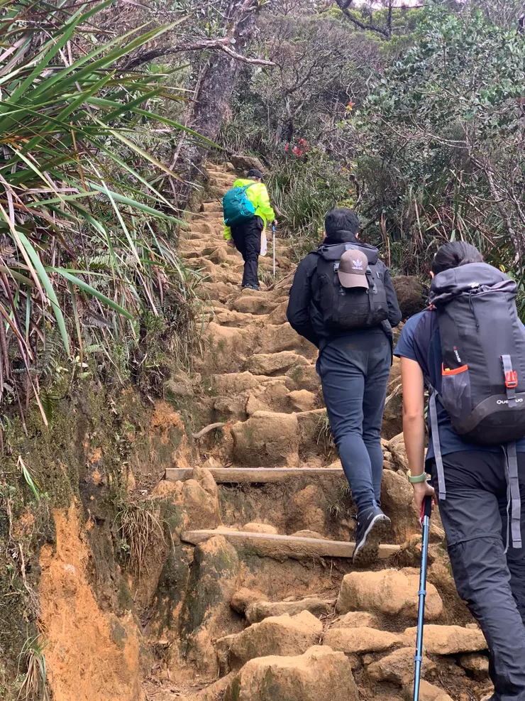 第一天一路都是谷關八仙山最後那1.5公里的陡度