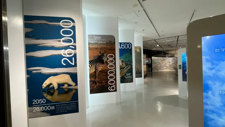 北極熊、斑馬都將越來越少。