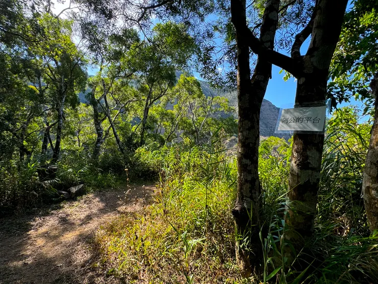 不知為何取名為阿公的平台?那阿嬤哩?