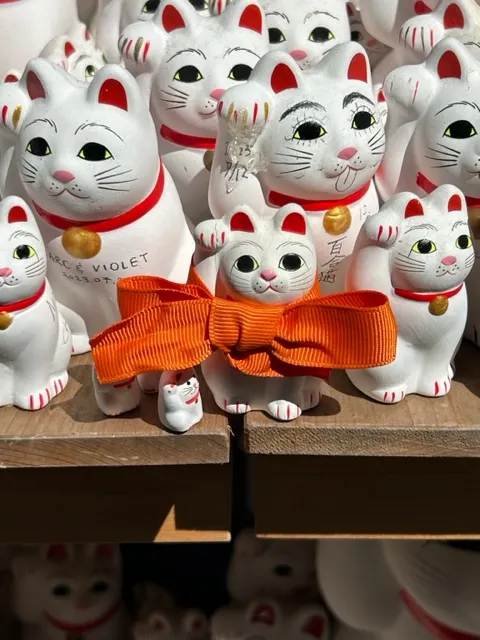 打上蝴蝶結的貓～