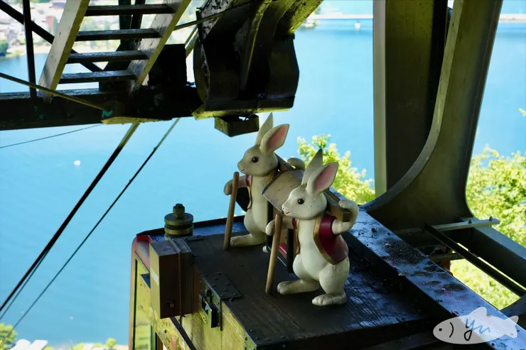 用相機拍的纜車小兔