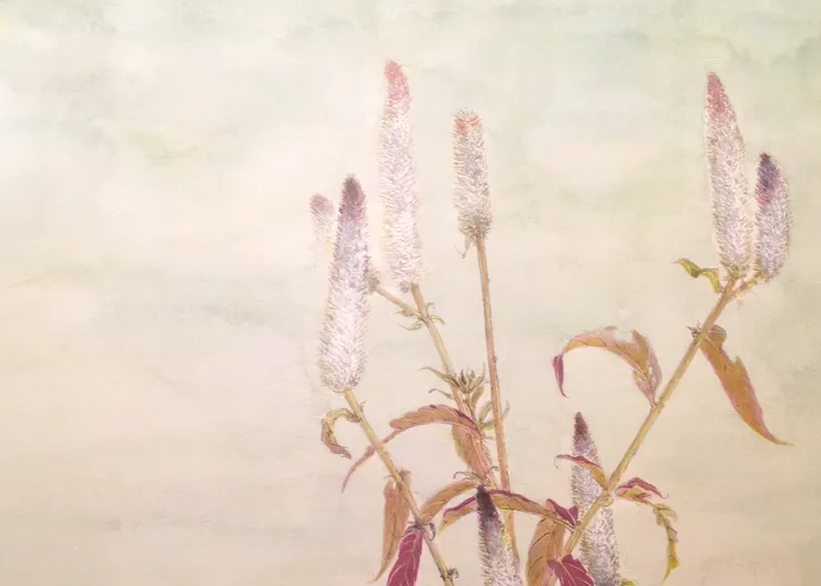 〈雉鴝萬里霜/霜晨鴝聲〉局部-青葙