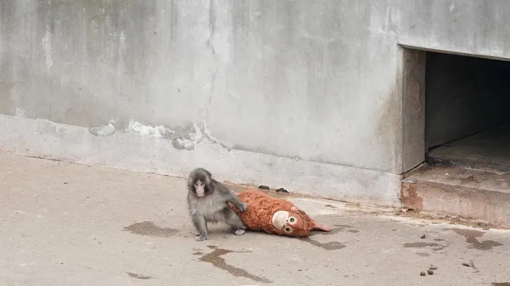 圖片來源：轉載自網路新聞