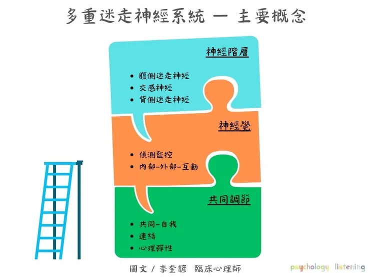 多重迷走神經概念圖 ／ 李奎諺臨床心理師