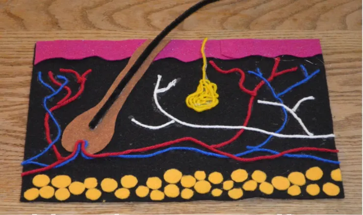 圖片來源:blog.susanevans.org 網站