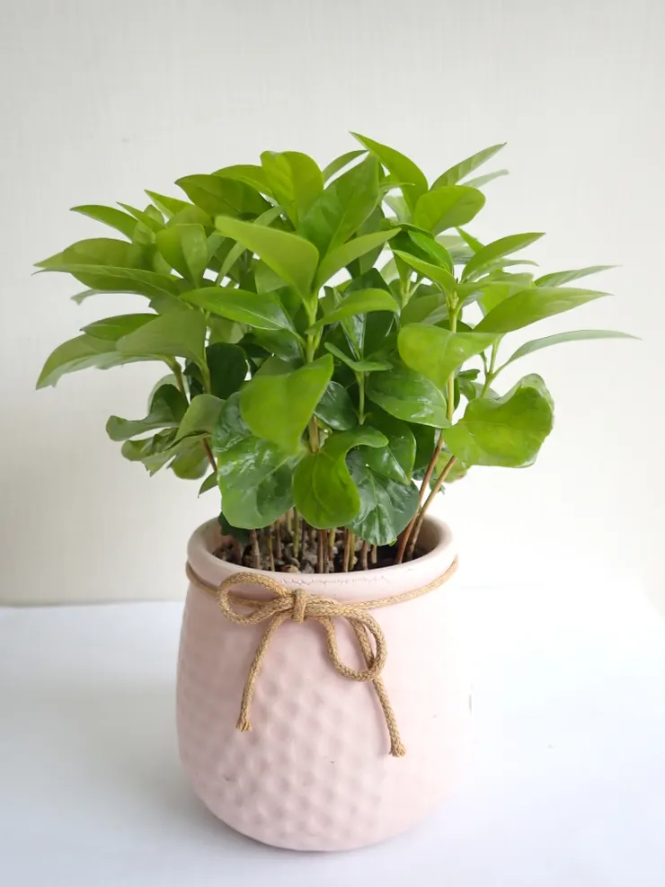 士林社大114.09.08