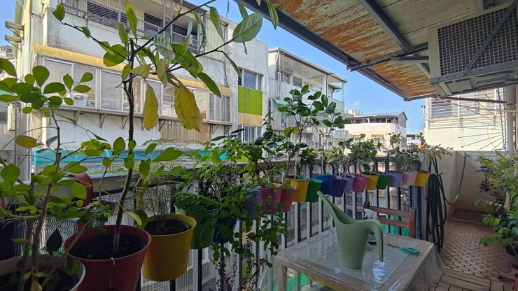 當初是真的想拿來發呆、看書的，只是經常走進陽台，就會開始東摸西摸。