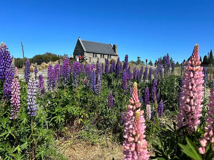 好牧羊人教堂The Church of the Good Shepherd