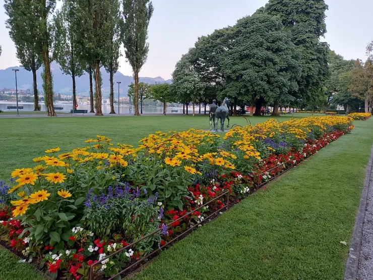 諾大的公園緊鄰湖畔
