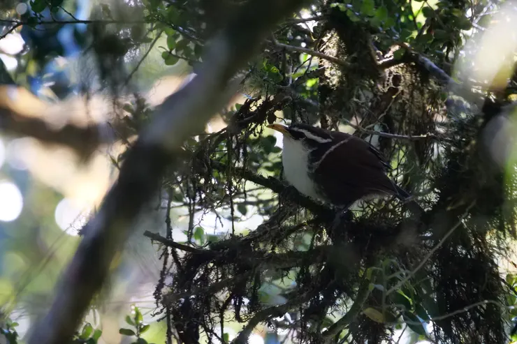 球體的體態百看不厭