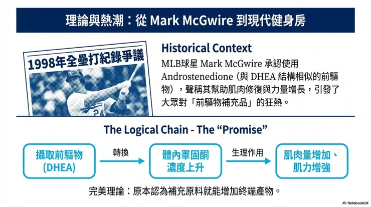 理論上的表現效益