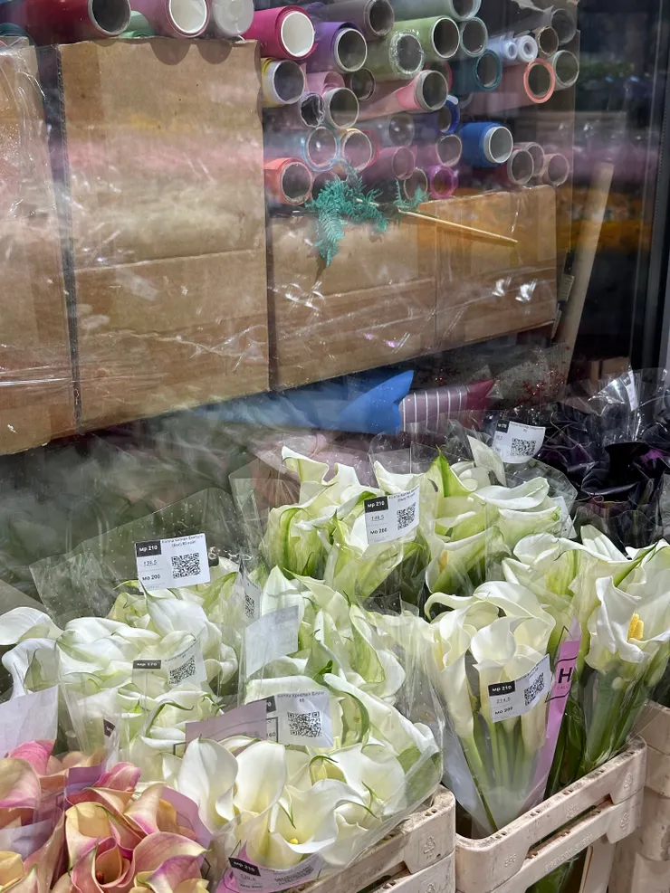 在這裡還能看見海芋！