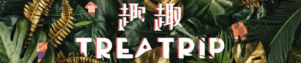 趣趣Treatrip的沙龍