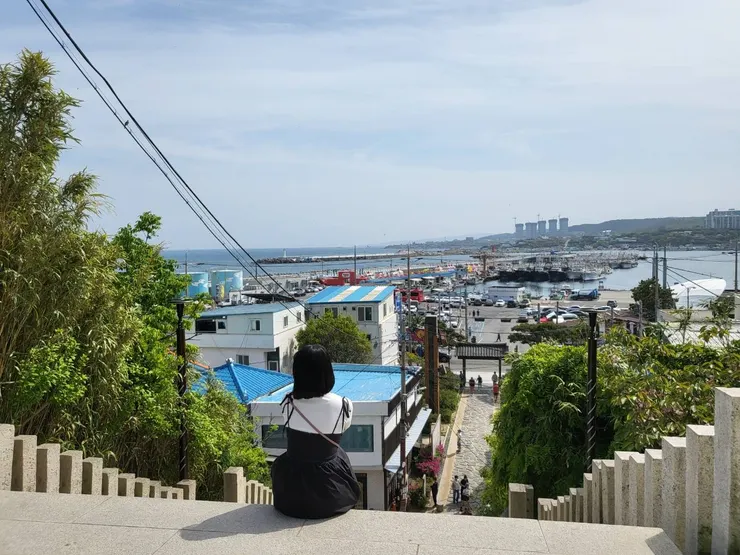 《山茶花開時》海報拍攝地