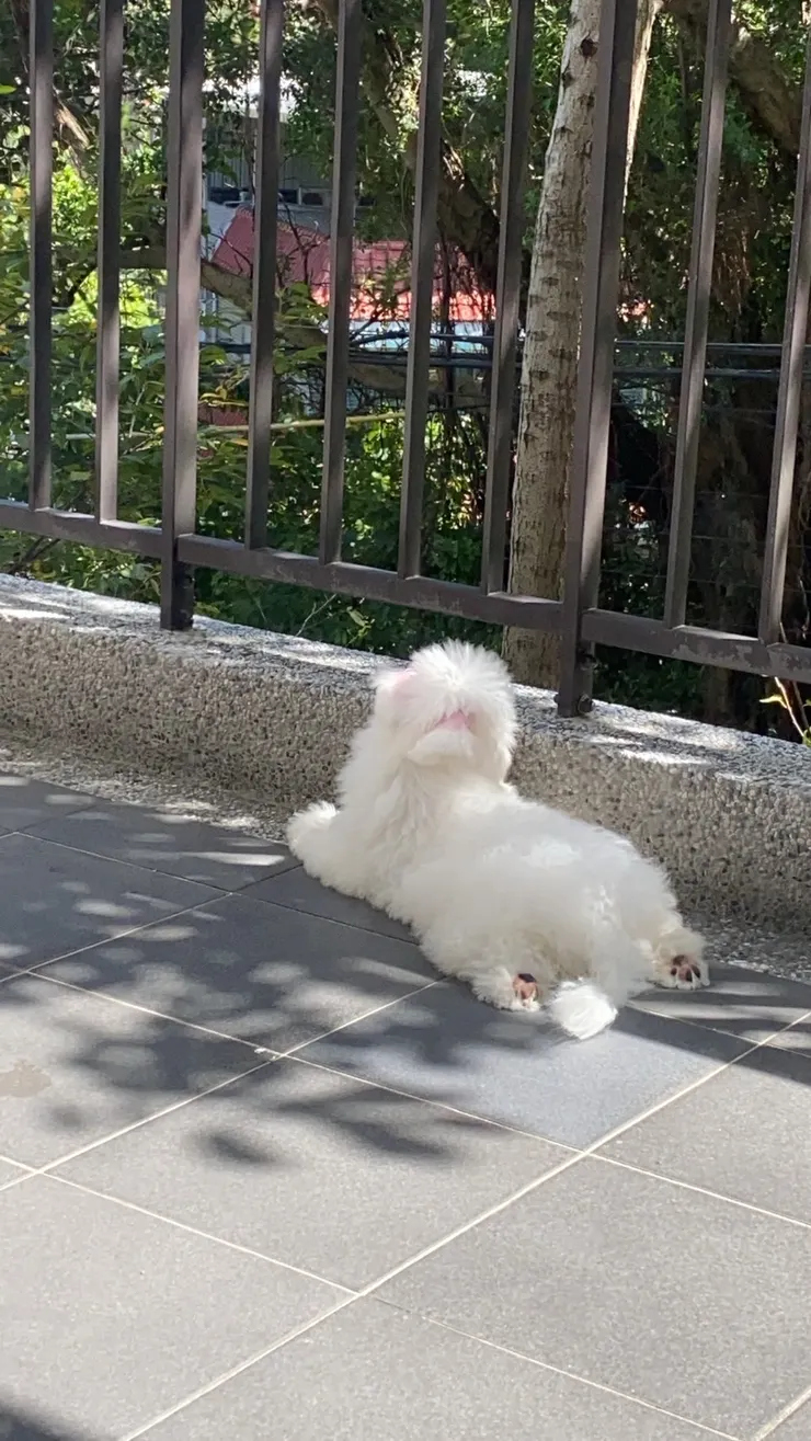 第二天早上在陽台曬太陽放鬆