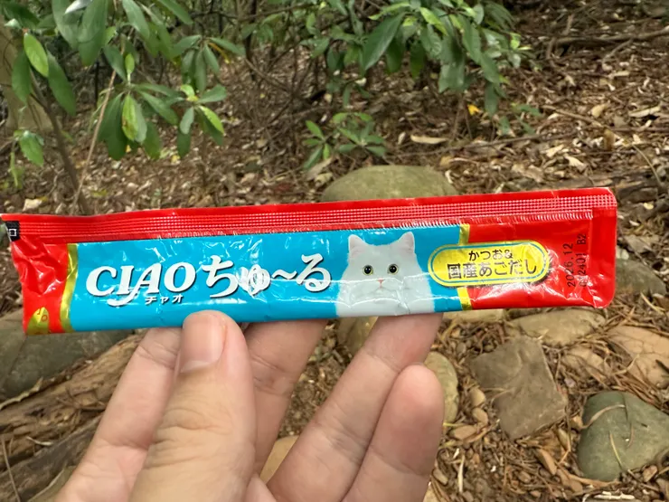 2025/09/07 圓圓愛吃的肉泥