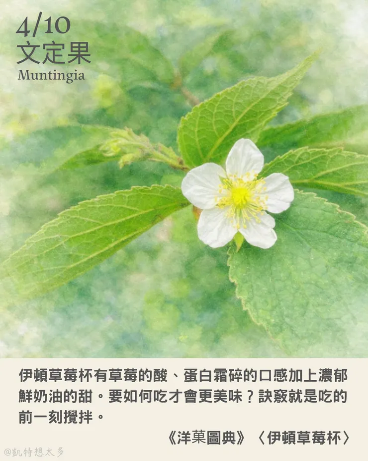 文定果×《洋菓圖典》〈伊頓草莓杯〉