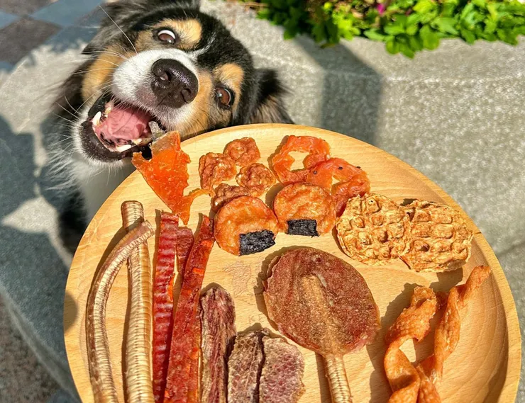 圖說：尾巴丘零食熱銷榜冠軍「燒鴨棒棒糖」，不只有職人慢焙的紮實口感，特殊造型也吸引飼主目光。（資料來源：尾巴丘毛孩選物）