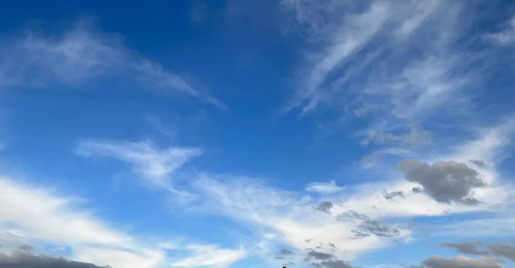 Coffee Tea & Me的沙龍