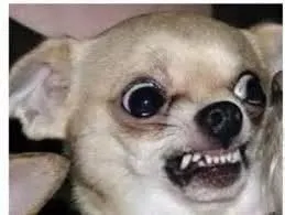 要買書可點以下網址來連接博客來