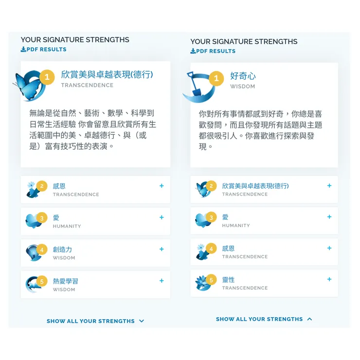 VIA Character Strengths Profile