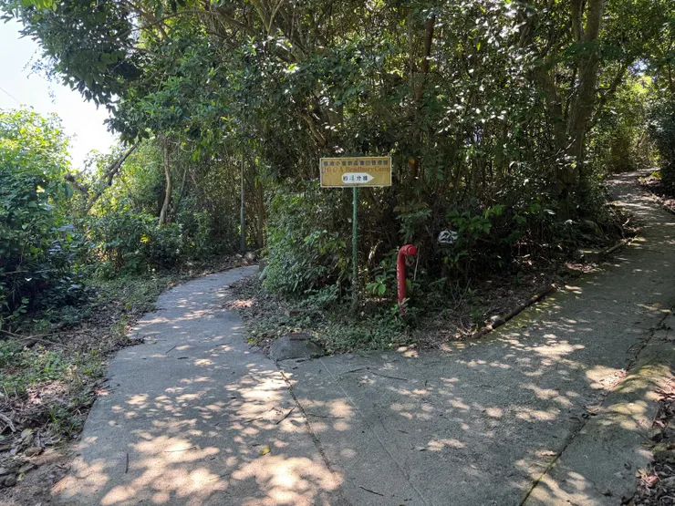 第一個分叉口走左路