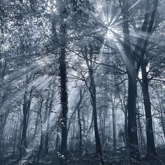 Photo by David Whyte