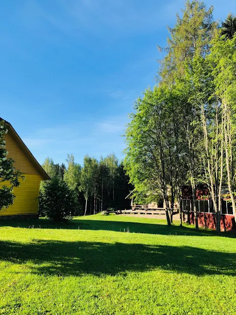 清晨,初醒的大地。