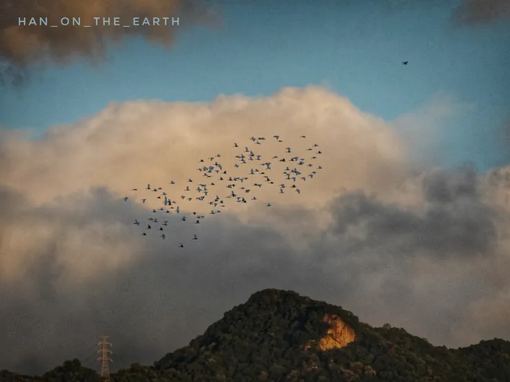 石門水庫湖光山色,有不一樣的美