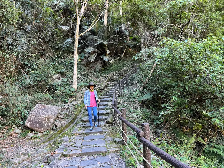 步道旁的林像跟步道的材質一樣多變