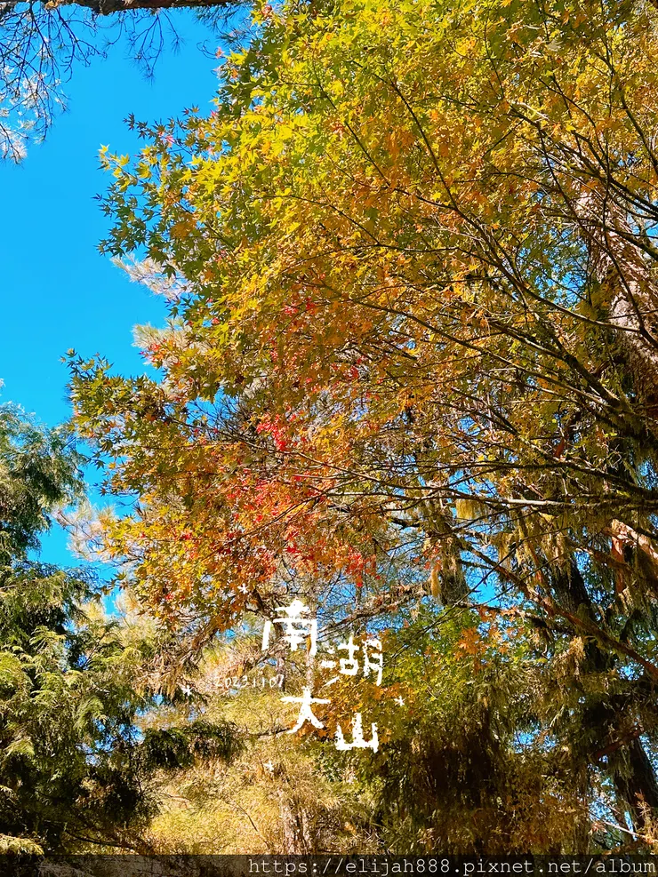 【帝王之山4天3夜】南湖大山之多加屯山/方便屋洗漱/最終日/