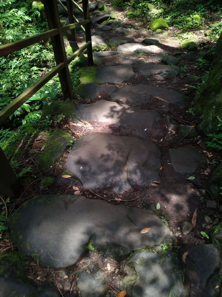 陰影陽光交織的暗路,走過了就過了!