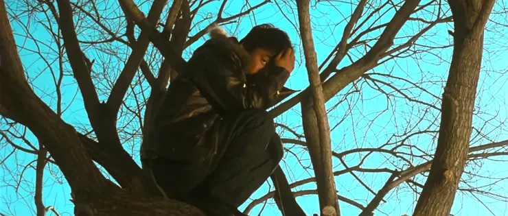 他就是樹，樹就是他，一棵在寒風中葉子早已敗光光的樹，一棵來不及拔高長大就已慢慢死去的樹。