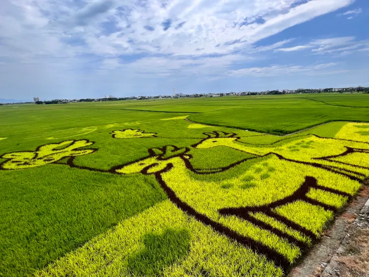小路放風箏稻田彩繪
