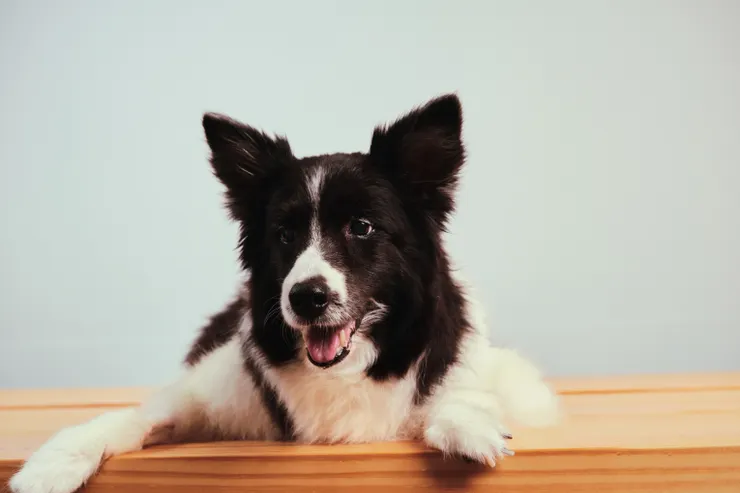 照片是化療期間還是要美美的Evelyn