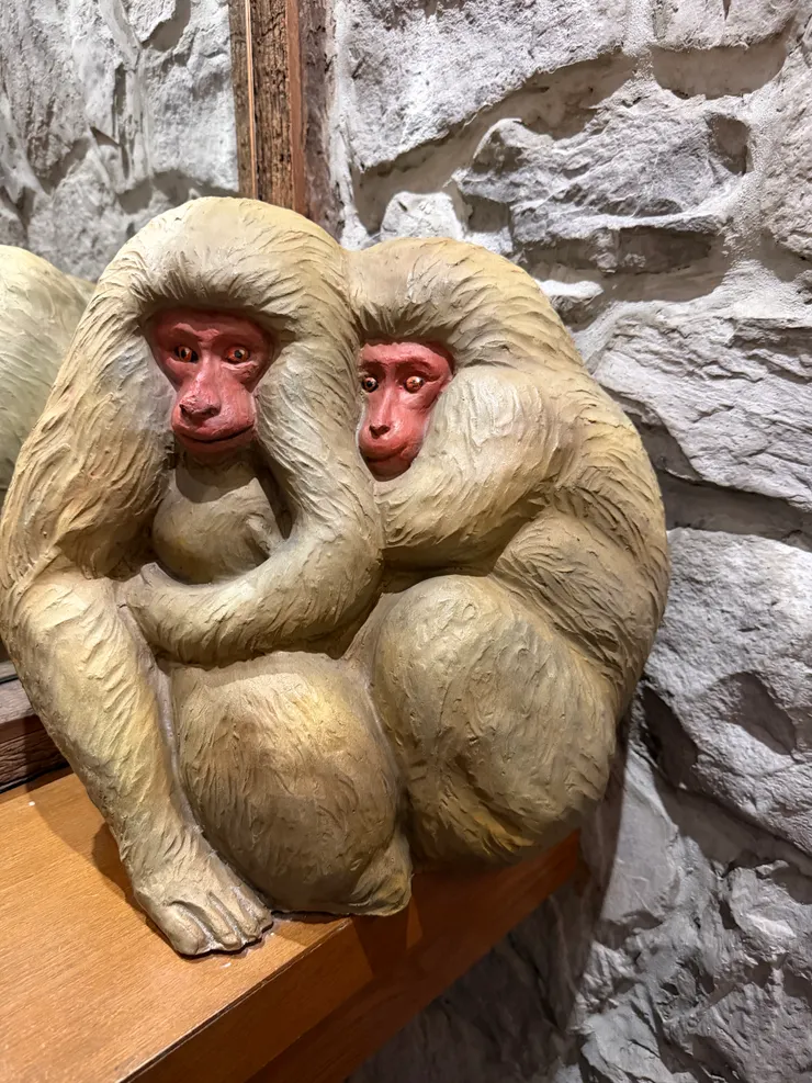 廁所門口可愛的獼猴